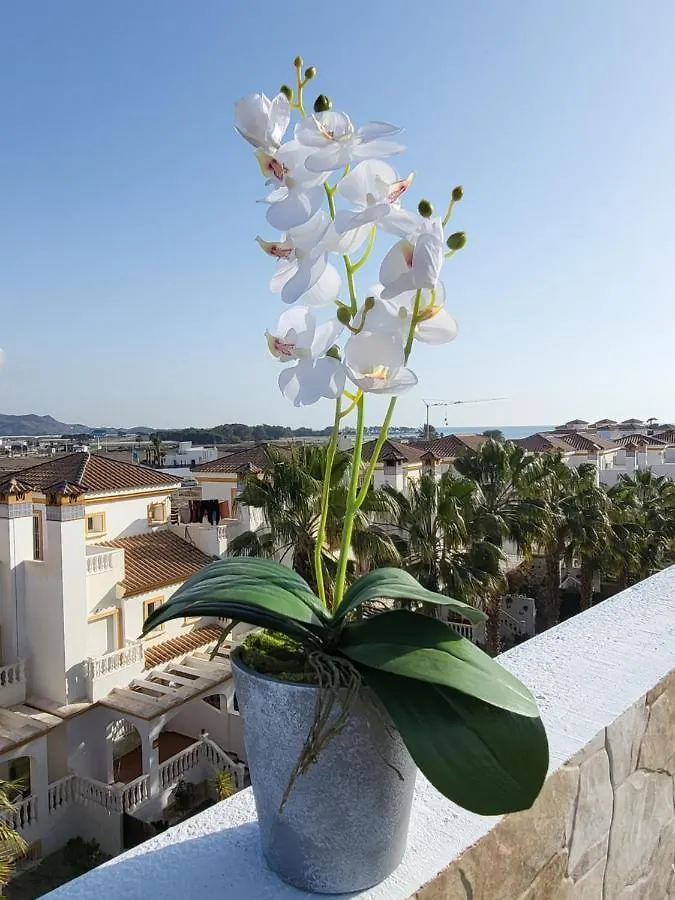 Apartment Atico Duplex En Primera Linea Con Piscina Privada! Vera